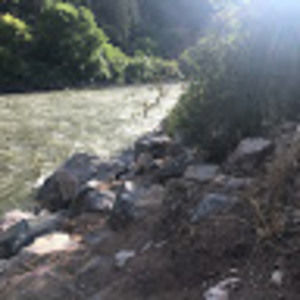 Meet your Posher, Kylee